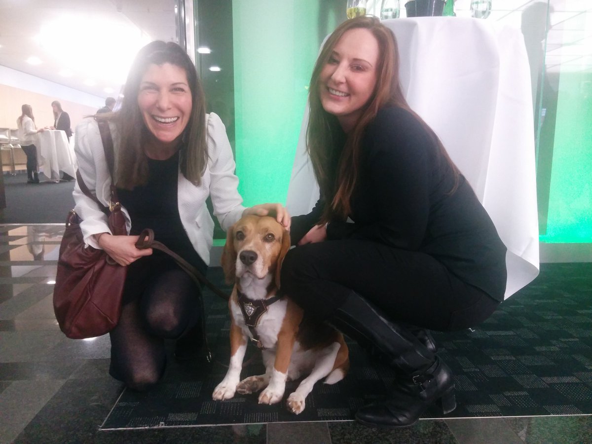 _DigitalPanda's tweet photo. Pausen-Highlight: Der SEO Hund :) #IBsuch16 #SEO @Frau_Reichert @MichaelMrazek https://t.co/Gn8XPiR0VI