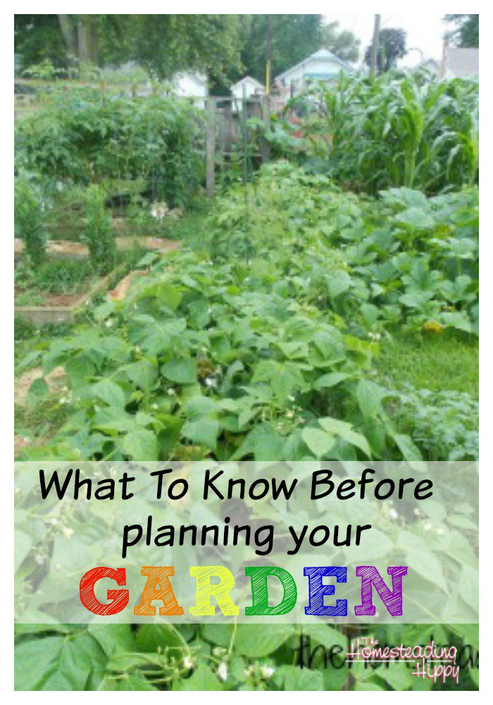 homesteadhippy's tweet photo. Garden season is here!  Here's what you need to know before you start your garden this year!
https://t.co/4oVaLOUPpV https://t.co/U1X7DaavkE