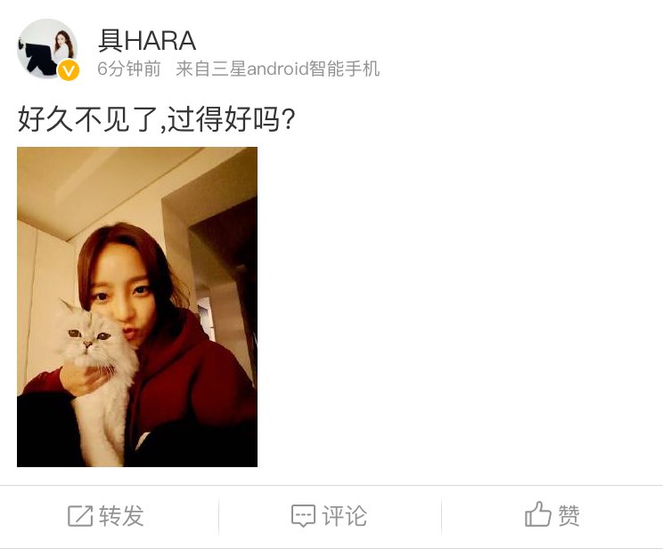 sweetharacom's tweet photo. [Hara Weibo Trans] Long time no see, have you been doing well? https://t.co/aMnCLzGC5K