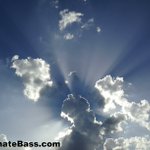 Photo by Ultimate Bass (@UltimateBass)