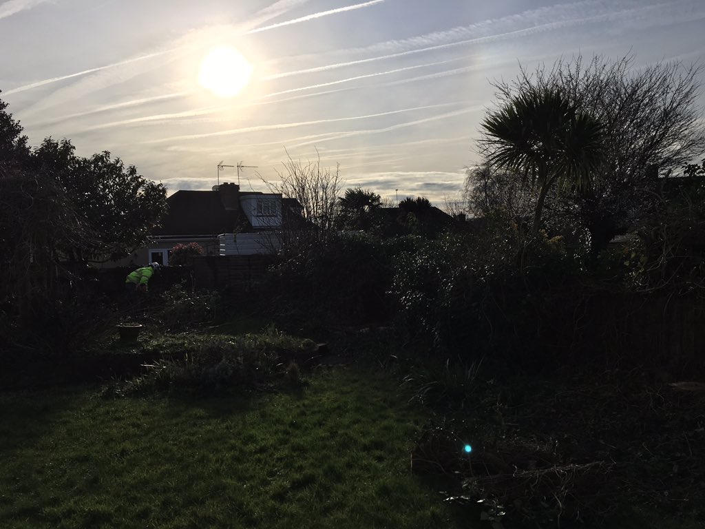 DoctorsTree's tweet image. At least the sun is out in broadstairs this morning,, still a bit cold though ❄️ garden clearance. Ramsgate uk.