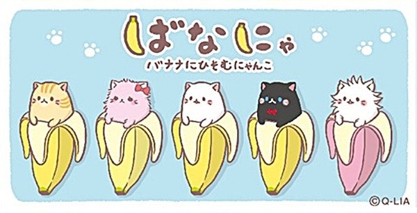 Banana Cat Wallpapers  Top Free Banana Cat Backgrounds  WallpaperAccess
