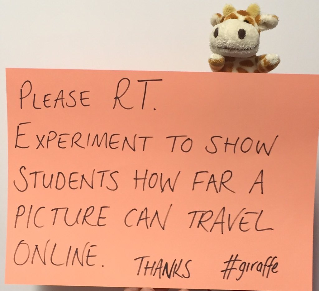 Joe Rich tweet media