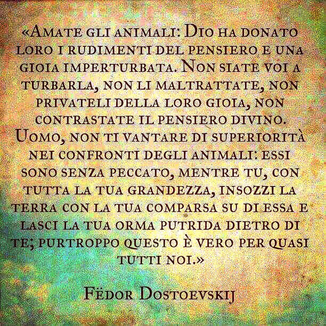rosita17rosita's tweet photo. 🙏🏻...🐾se cominciassimo a lasciare impronte dignitose su questa terra martoriata..?!💜grazie Dostoevskij @AngeloVaira https://t.co/WvazqiHZs0