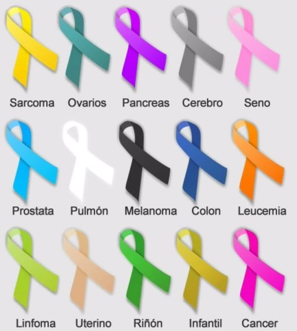 RosSolidaria's tweet photo. Toda nuestra Fuerza y Ánimo para los #valientes que luchan a diario en el #DíaMundialContraElCáncer https://t.co/qohcb1KaUA