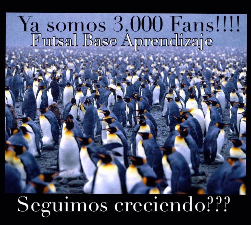 FutsalBase tweet media