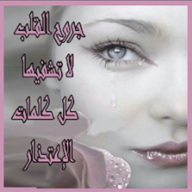 grast_ms's tweet photo. https://t.co/ojJCha8oh0