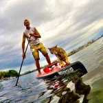 distressdmullet's tweet photo. Meet Joe Paddler: Ken Lambrecht and his cat, BUG who paddle in Madison, WI https://t.co/zObe6IUGWG SUP CAT! https://t.co/phgIM8xSNR