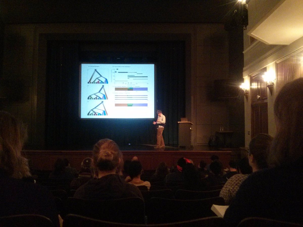 alexandra_tyers's tweet photo. @DanielFalush painting chromosomes &amp; humans model organism. Sure UK has clusters, but we all European! #evomics2016 https://t.co/hrTrDcRaRH