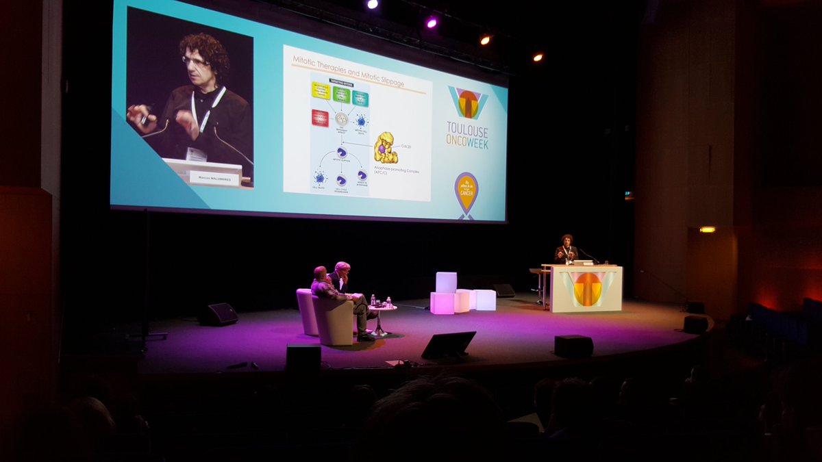 FalakAzzam's tweet photo. #TOULOUSE #Toulouse_OncoWeek https://t.co/l3VSU3k20C