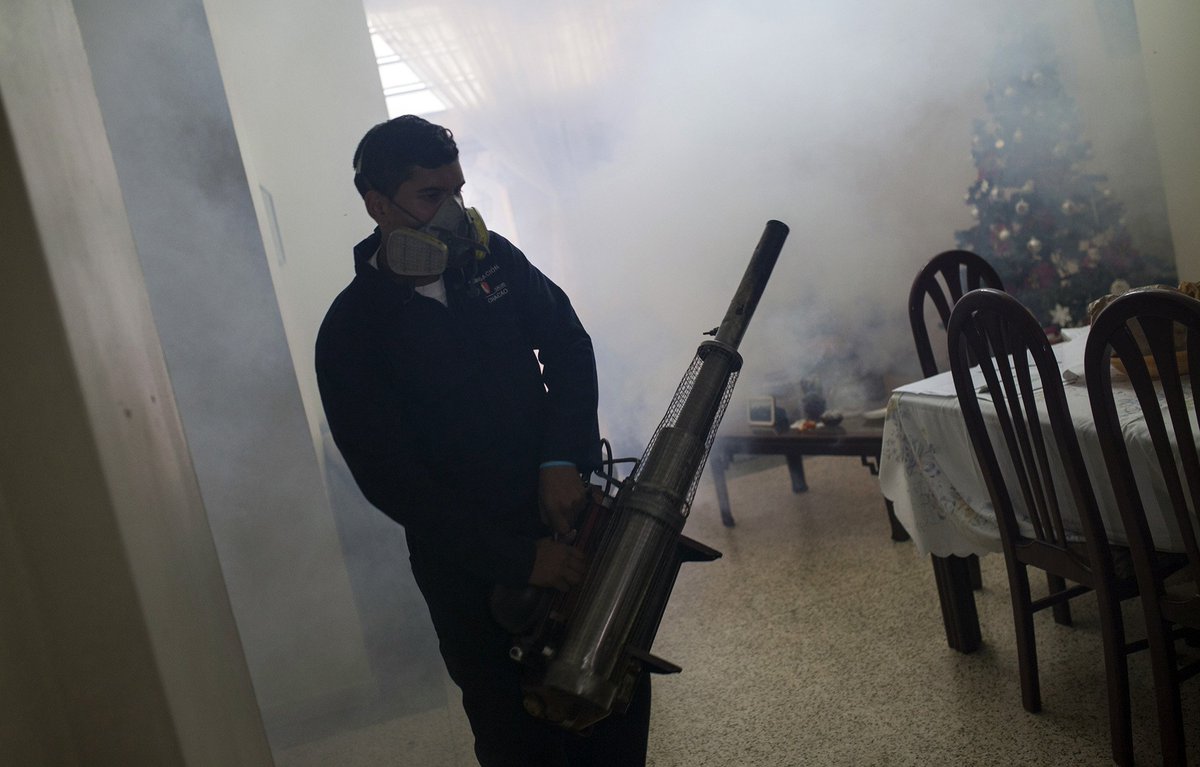 business's tweet photo. Fighting the Zika virus in Latin America https://t.co/N19wUmffkE https://t.co/CLKmnLFNYj