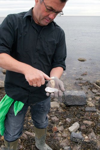 Zin in #Texel? Kom dan lekker uitwaaien, wandelen, fotograferen, oesters rapen, wodka proeven of vogels spotten.