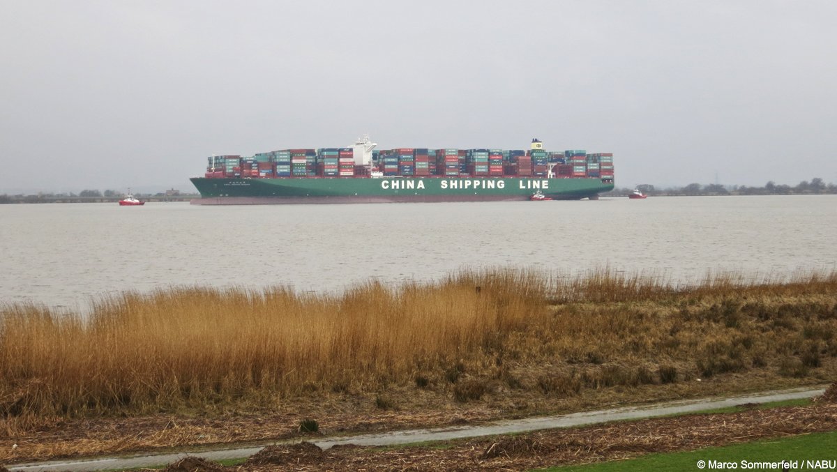 KoenigWWF's tweet photo. #Havarie auf der #Elbe - das Risiko wächst mit Mega-#Containerschiffen   https://t.co/mfRPZJ8K1e #Elbvertiefung https://t.co/LPdYGVT1AQ
