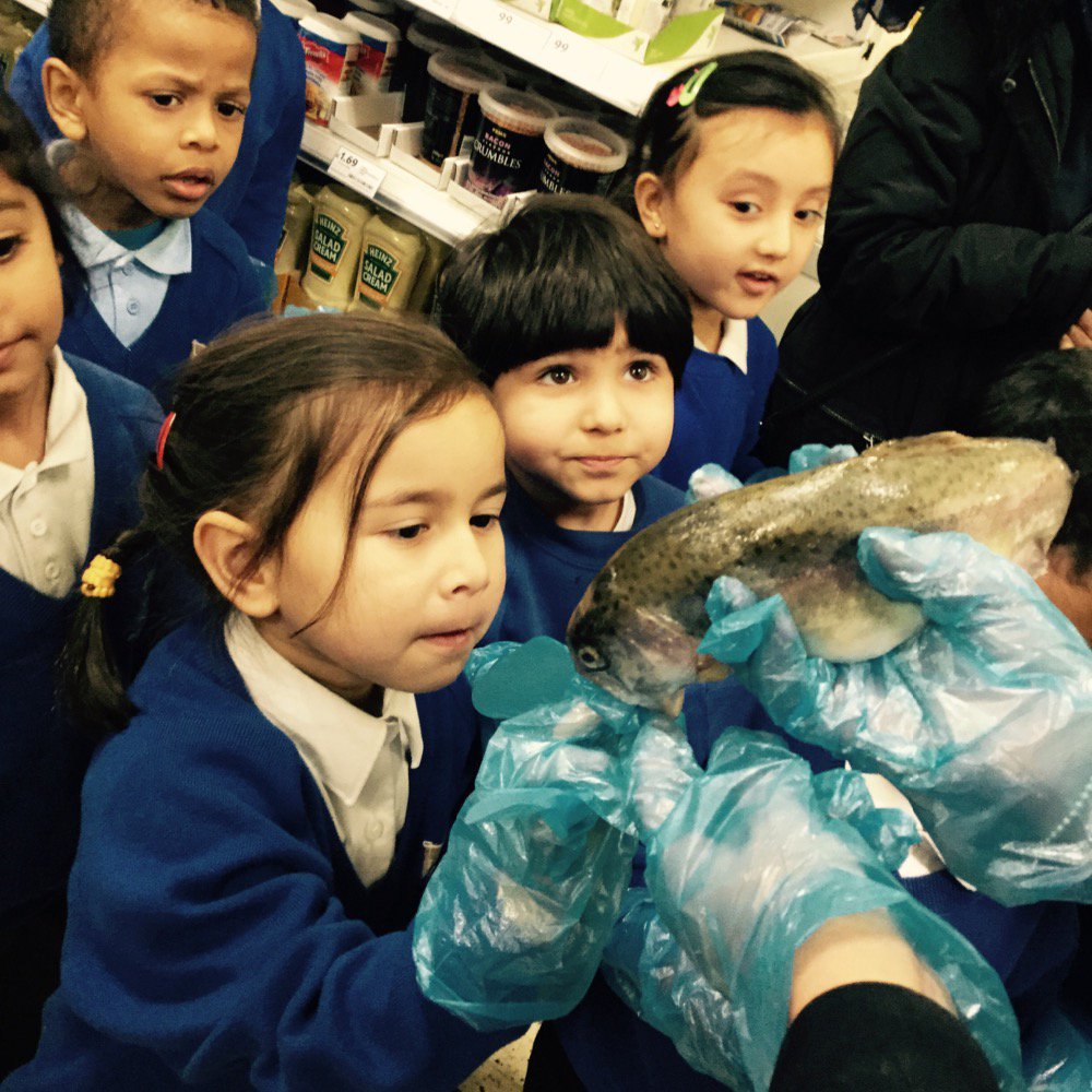 Touching a trout tongue during our school trip to tessco! Inaya "It feels so sharp, like a knife"