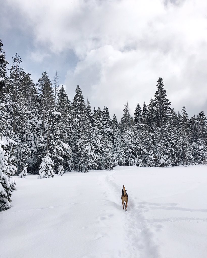 WestShoreTahoe's tweet photo. What does a quintessential day on the West Shore look like? Something like this... #paigemeadows #westshoretahoe https://t.co/m5OI4HhiNt