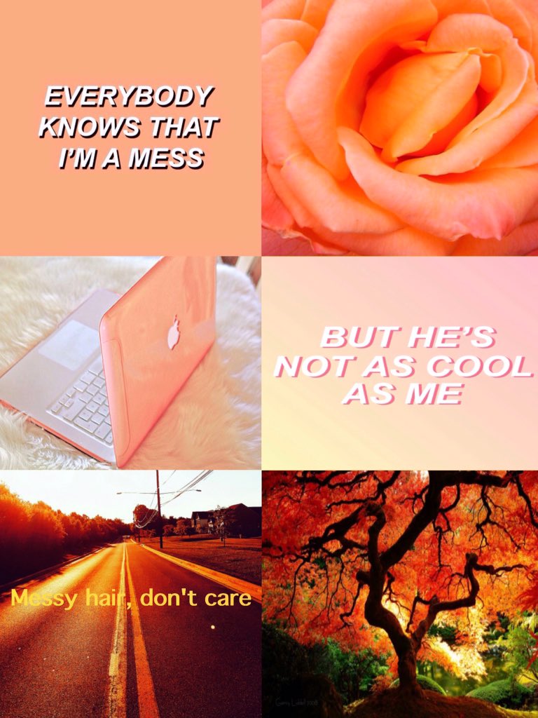 AstrologyyAF's tweet image. Leo - Aesthetic