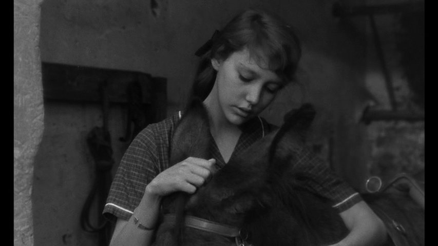 FforFilms's tweet image. AU HASARD BALTHAZAR (1966) Directed by Robert Bresson. A moving parable of purity and transcendence.