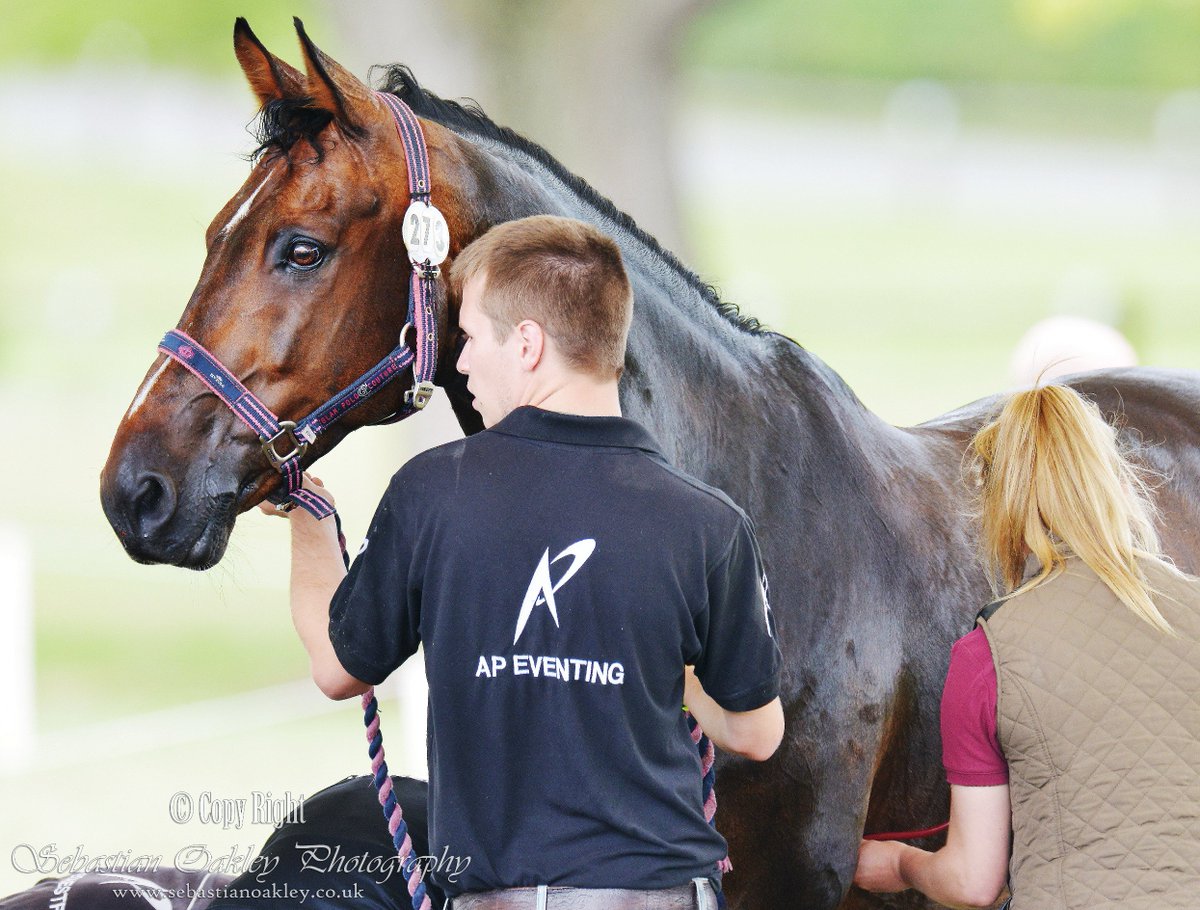 DrSOakley's tweet photo. Vet Check. Horse undergoing a vet check after XC phase @nafuk @HartpuryHT 2015 #vetcheck #vet #eventing @APeventing https://t.co/EtJzvZTEtS