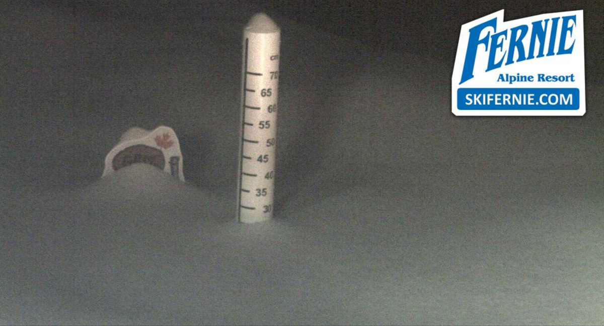 SkiFernie's tweet photo. Ski Patrol reports 23cm of new snow! #wakeup #powderday #ferniefactor #lovefernie https://t.co/Xn7rfRjoKQ