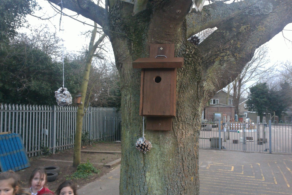 Moorlands Squirrel On Twitter We Made Bird Feeders Yesterday For