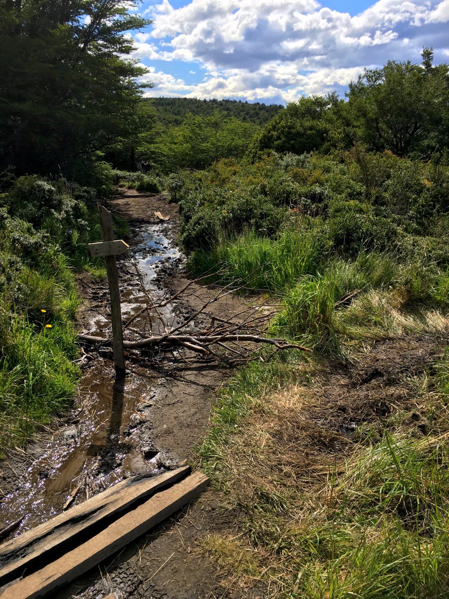 supporttdp's tweet photo. Help us restore a part of the W trail w/ Conservation VIP here:https://t.co/mJaD5ubD4p! #torresdelpaine #patagonia https://t.co/A833WPlxMD
