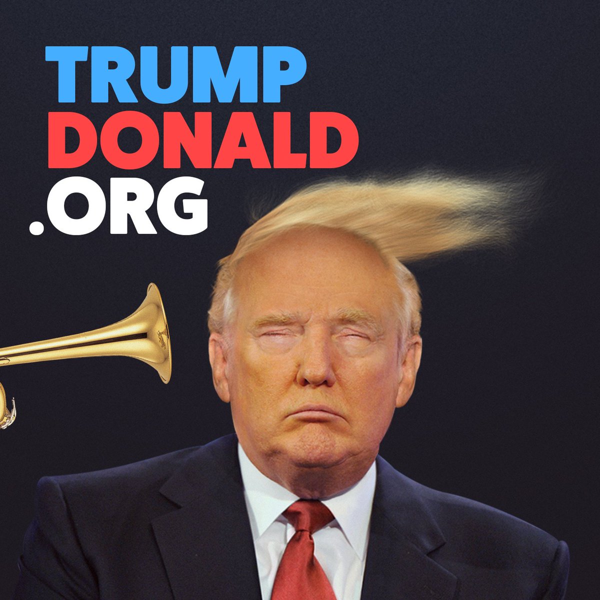 La magie de l'internet... trumpdonald.org #TrumpDonald instead of #DonaldTrump
