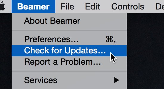 Beamer 3.3.4 Beamer 3.3.4