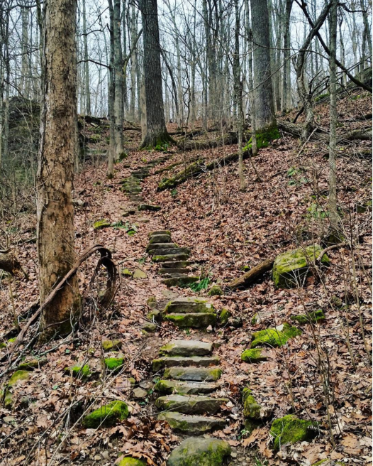 enjoyillinois's tweet photo. Up for a #HikingAdventure? Visit Trillium Trail at Giant City State Park! (Pic: (at) Midwest_adventurer) https://t.co/znx0vJtrMP
