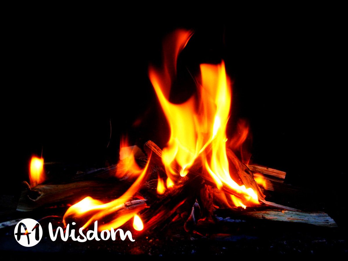 A1wisdom_club tweet media