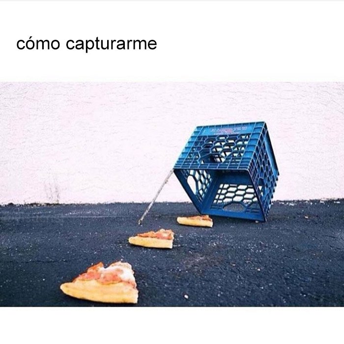 yisucrist's tweet photo. soy demasiado fásil d capturar https://t.co/AeU6vIFZ7Q