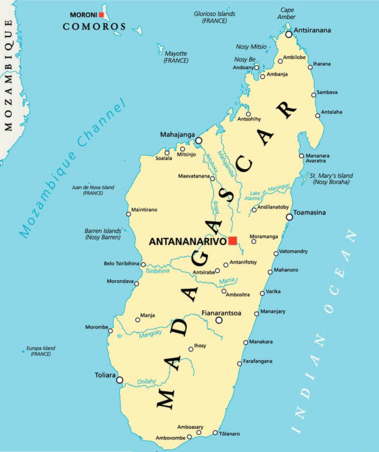 aattyani23's tweet photo. Madagascar is a country located in Africa. It is very diverse, it has over 600 different species. #trollingbio https://t.co/8GSBNBBmTw