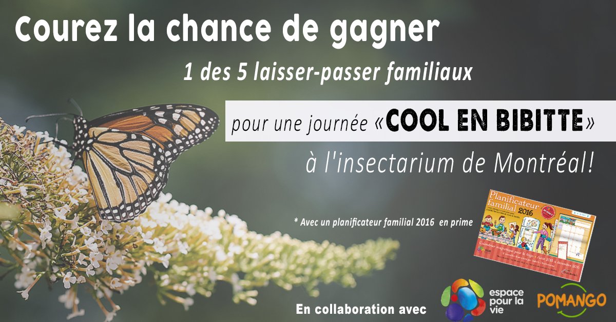 Pomango_'s tweet photo. *CONCOURS* Avez-vous participé à notre concours «Cool en bibitte»? 1 gagnant par semaine ;) https://t.co/nutWbR3yAs https://t.co/LGvN6tP9T0