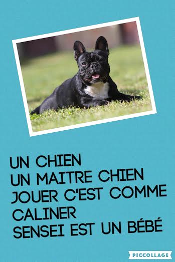 MariePierHamel2's tweet photo. poème de fabrice @28gr @classe_MH https://t.co/N5YbT2hfQv