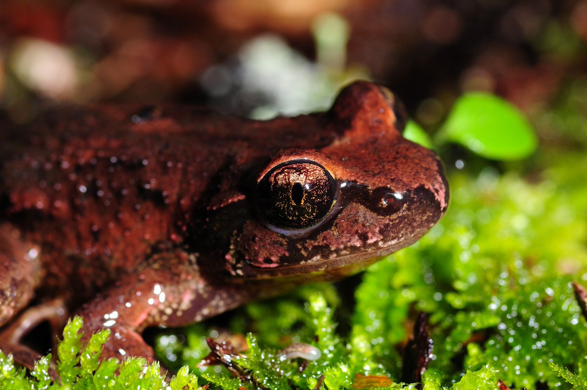 Ehren Bentz tweet media