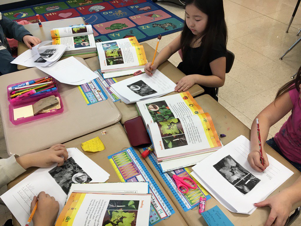 MattsonClass's tweet photo. Sequencing the lifecycle of a pumpkin #weare44 #madison44 https://t.co/LzhYmtajDw