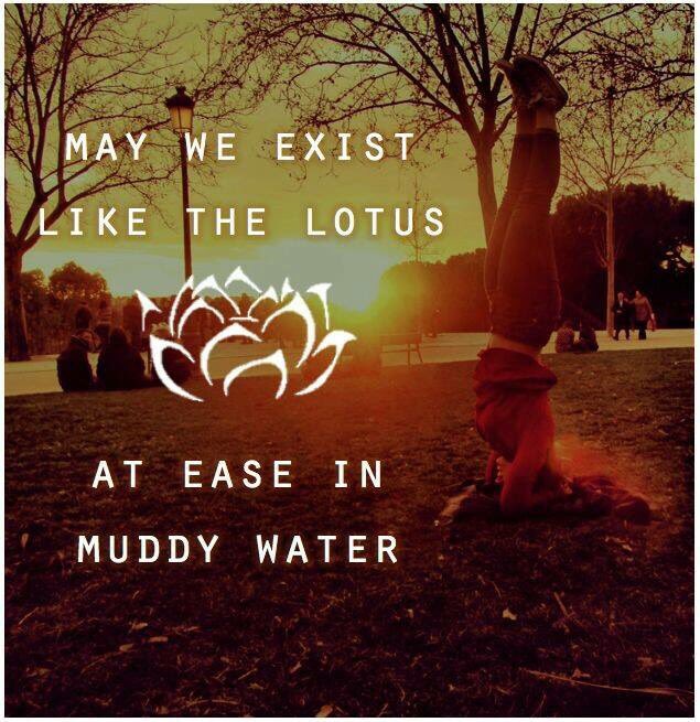NAAMYOGAAZ's tweet photo. Inspiration https://t.co/TWLAcYQp7N