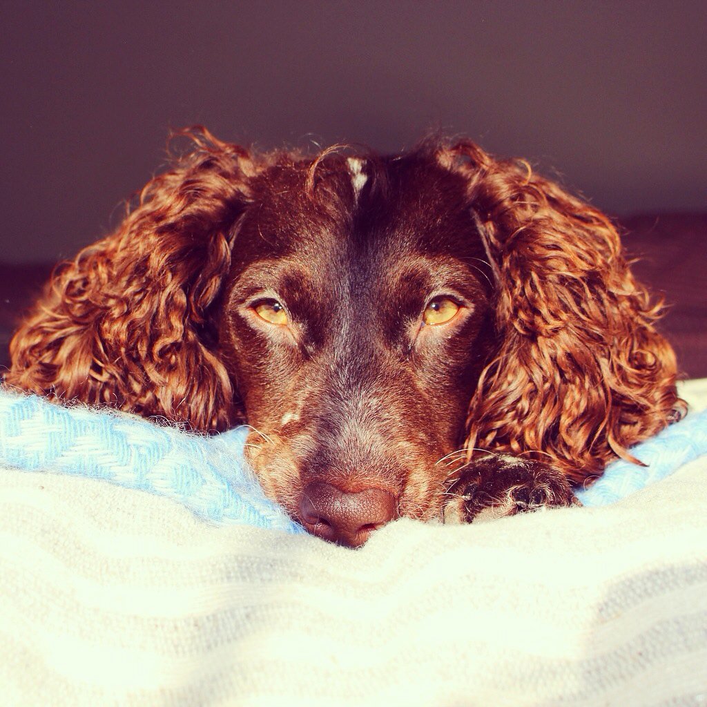 Alexia Tucker tweet media