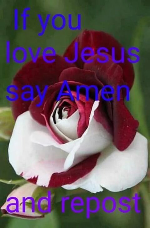 839_9145's tweet photo. https://t.co/qcVs0MQa0u