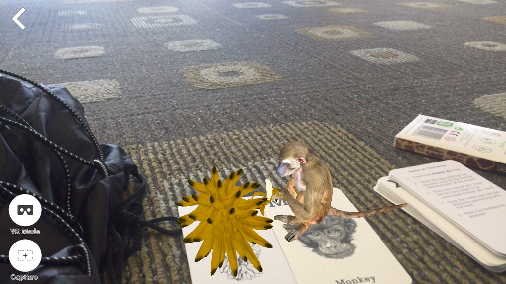 MadDawgMisty's tweet photo. Playing with my Animals 4D+ cards I won yesterday! #betweensessions #TCEA16 https://t.co/ZquVE0CSUN