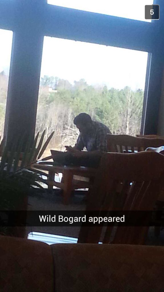 Bogard_Logic's tweet photo. Bogard spotted @GoosesTweets https://t.co/gyE9MskIJu