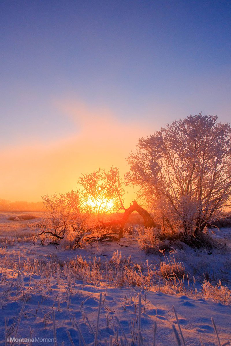 visitmontana's tweet photo. The sun rises in #CentralMontana. 📷: Megan Johnson. #MontanaMoment https://t.co/wjaXj7nhrw
