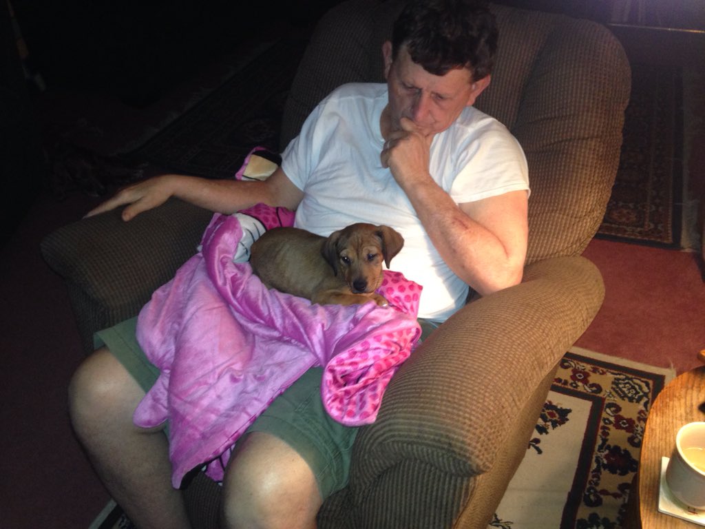 charity_smelcer's tweet photo. "No Charity you aren't getting another pup". Two days later he sends me this. #alwaysgetmyway I love my dad! https://t.co/mwzGRqVVZY