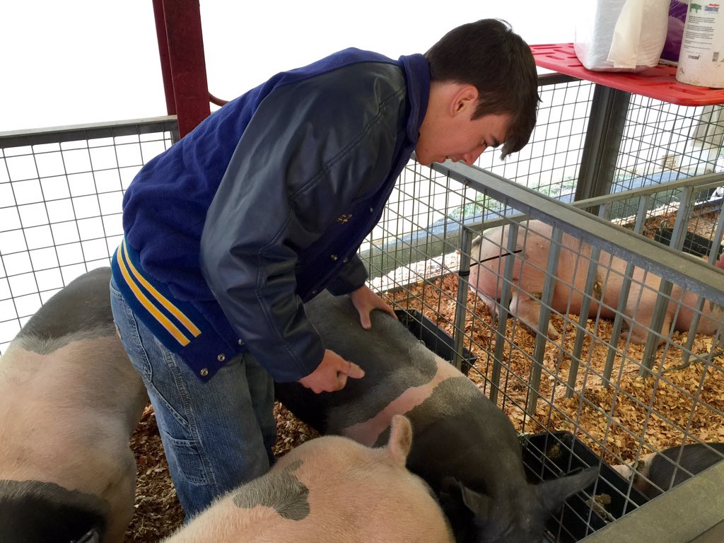 Marie_Laveau's tweet photo. @Omg_Its_John04 showing his pig, ham hock some love! #ffa #LiveOakFFA #LivingstonParishShowTeam #LiveOakShowTeam https://t.co/HCIRPYDRyT
