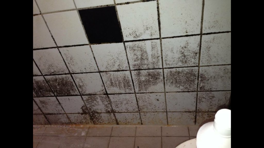 polarlysdk's tweet image. BEFORE &amp;amp; AFTER ☄☄☄💧our #professional #cleaning #rengøring #Danmark