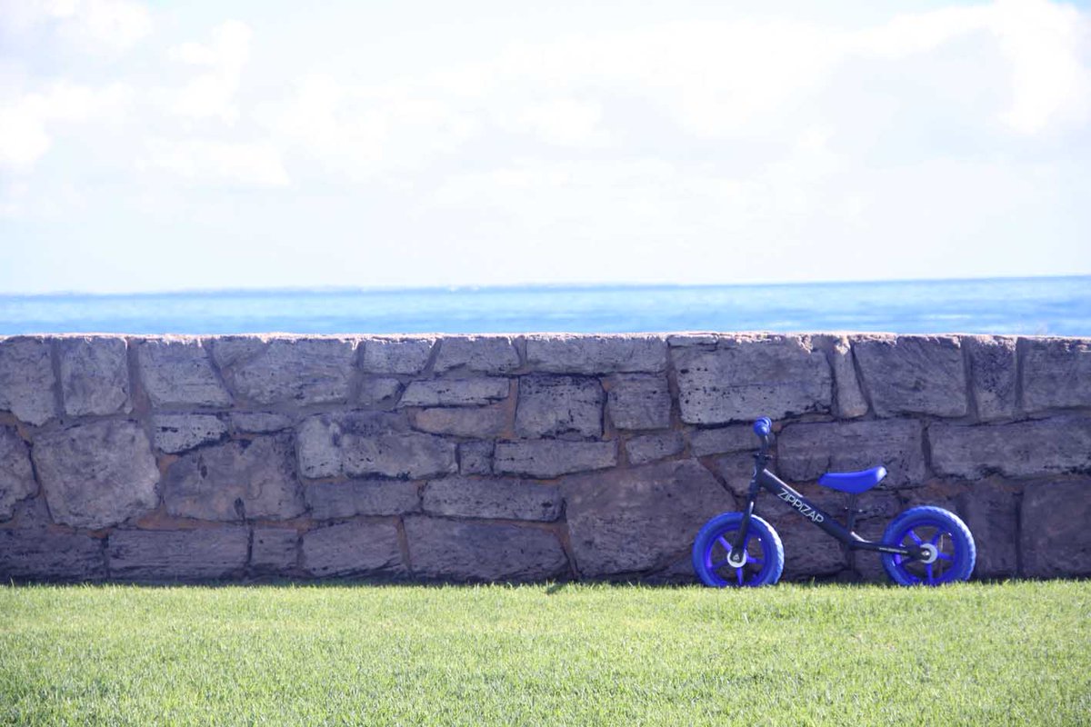 Zippizap_uk's tweet image. The flashing policeman hiding in the shade.