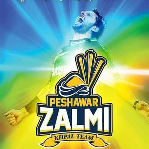 PunjabGo's tweet photo. WE SUPPORT PESHAWAR ZALMAI https://t.co/gbb5bC6PF7