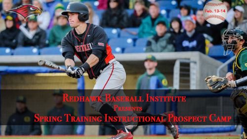 The Redhawk Baseball Spring Training Camp is next weekend! Come join us at Bannerwood Park! collegebaseballcamps.com/redhawks/info/…