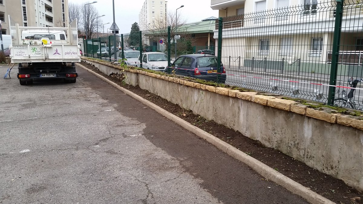 Pi_Guill's tweet photo. #Pilouisbraille travail de Recepage et suppression des souches d'ailanthes. Et travaux de transplantation https://t.co/jDvHv38Skg