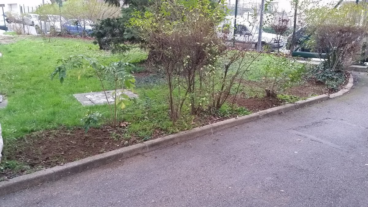 Pi_Guill's tweet photo. #Pilouisbraille disposition des souches pour les futurs bancs.
Préparation de la terre pour les plantations https://t.co/QDyebnyfIm