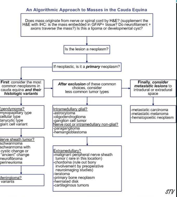 pembeoltulu's tweet photo. 👍🏻👏🏻👌🏼 By Saeed Vakili , via Facebook #POpath #patholog @nabil0079 @GeronimoJrLapac @JMGardnerMD https://t.co/lEq278HPzu